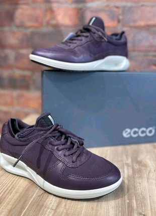 Оригінальні жіночі кросівки Ecco