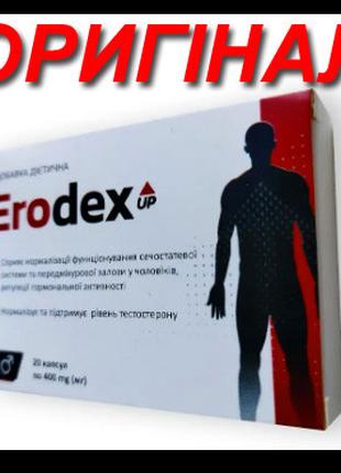 Erodex UP - Капсули для нормалізації чоловічої сечостатевої си...