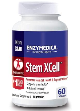 Ферменты для мозга Stem XCell Enzymedica 60 капсул