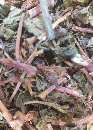 1 кг Гречиха цвет+трава сушеная (Свежий урожай) лат. Fagopýrum