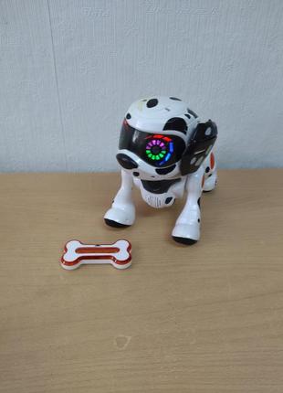 Робот цуценя - собака текста teksta robotic puppy,