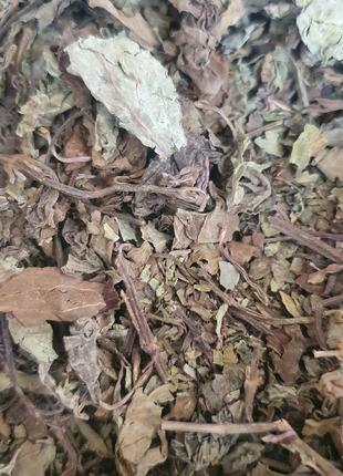 1 кг Ортосифон/почечный чай трава сушеная (Свежий урожай) лат....