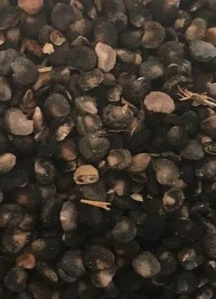 1 кг Дурман семена сушеные (Свежий урожай) лат. Datúra stramónium