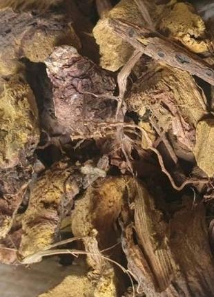 1 кг Ревень корень сушеный (Свежий урожай) лат. Rhéum