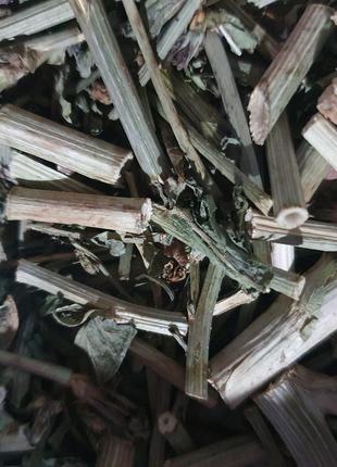 1 кг Цикорий обыкновенный трава/лист сушеный (Свежий урожай) л...