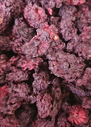 1 кг Ежевика сушеные ягоды/плоды (Свежий урожай) лат. Rubus