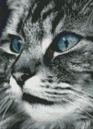 Набор Алмазная мозаика вышивка Изумрудные глаза Черный кот кош...