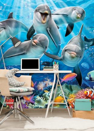 Фото обои морская тематика 254x184 см 3D Дельфины и подводный ...