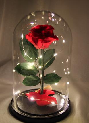 Роза в колбі з LED підсвіченням червона велика