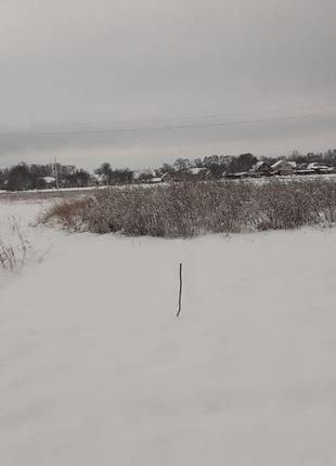 Здам в оренду свою земельну ділянку в Макарівскому районі В.Ка...