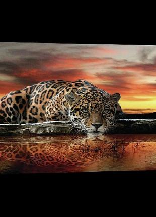 Картина на холсте 40 x 20 см Ягуар на закате (BB20291)