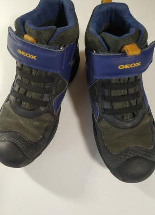 Дитячі черевики Geox Amphibiox 33
