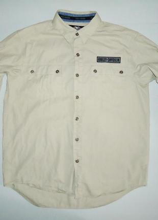 Рубашка  harley-davidson cotton оригинал (l)