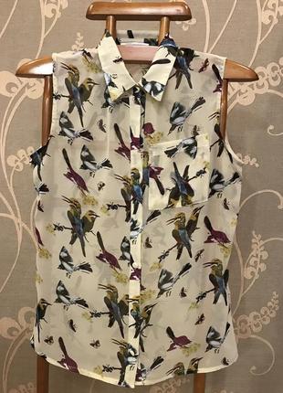 Очень красивая и стильная брендовая блузка в птичках и бабочках.