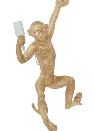 Настінні лампи бра декоративні monkey levistella 909vxl8051d gd