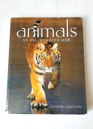 Детская книга на английском энциклопедия животных
