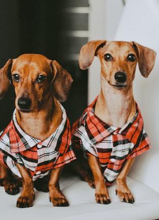 Рубашка для собак и кошек красного цвета, размер XL