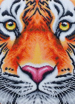 Набор для вышивки бисером "Взгляд тигра " савана,львица,тигрен...