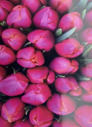 Картина по номерам 30*40см "Фиолетовые тюльпаны" OPP (холст на...
