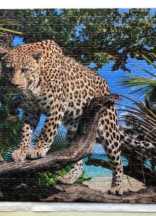 Пазл леопард джунглі природа 1000 елементів