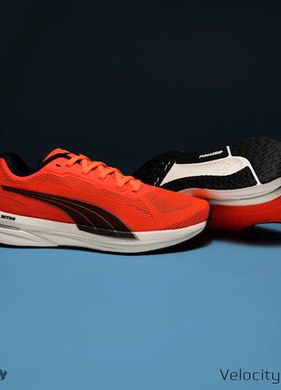 Puma velocity nitro