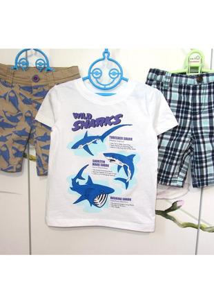 Набор 1,5-2 года : джинсовые шорты с акулами и нарядная белая ...