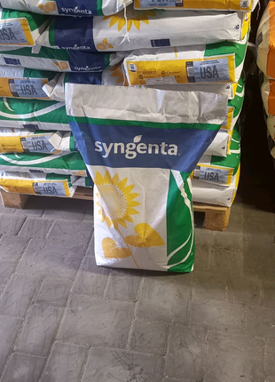 Насіння соняшнику Syngenta