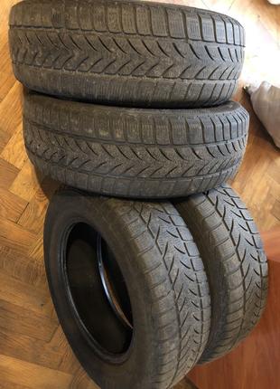 Зимові Шини Platin RP50 Germany 195/65 R15