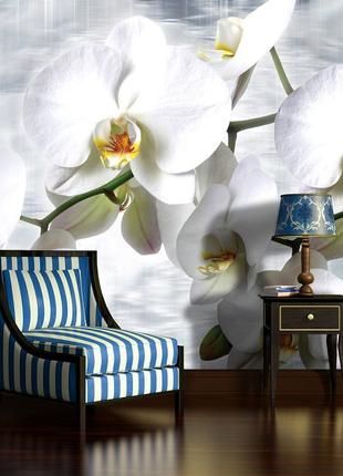 Флизелиновые 3D фотообои орхидеи фото 368x254 см Белые цветы н...