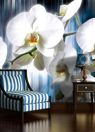 Флизелиновые красивые 3D фото обои 368х254 см Белые орхидеи на...