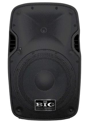 Активна система BIG JB15ACTIVE550W MP3/FM/BT