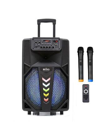 Автономна колонка BIG BIG240STAR USB/MP3/FM/BT/TWS + 2pcs VHF mic