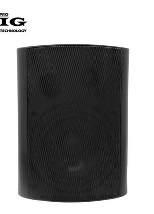 Гучномовець BIG MSB504-100V BLACK