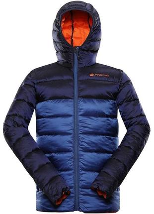 Куртка мужская alpine pro kish