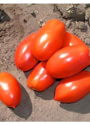 Насіння томату Інкас F1 (1000 сем.) Nunhems