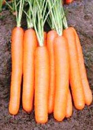 Семена моркови Монанта (50 г) Rijk Zwaan