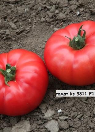 KS-3811 F1, (100 сем.) семена томата Kitano