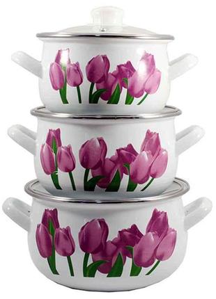 Набор эмалированной посуды Interos Тюльпаны 3 предмета (84314)