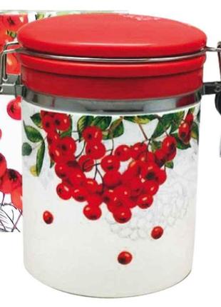 Банку для сипучих продуктів SNT Калина 750 мл (629-14)