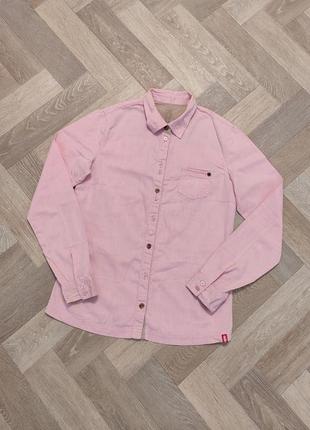 Edc рожева  приталена сорочка в смужку , бавовна