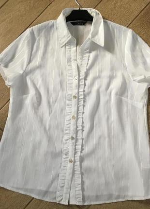 Белая блуза с коротким рукавом (большой размер)