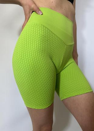 Зеленые спортивные шорты