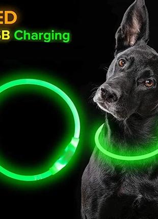 Светодиодный яркий ошейник LED, ошейник для собак и кошек. USB...