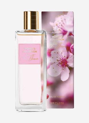 Туалетна вода Women's Collection Delicate Cherry Blossom Orifl...