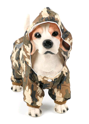 Одежда дождевик для маленьких собак
