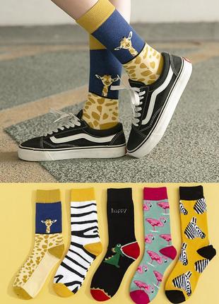 Комплект 5 пар носков женские носки жіночі шкарпетки 170