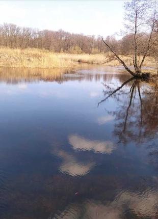 Ділянка 25 соток біля лісу та річки