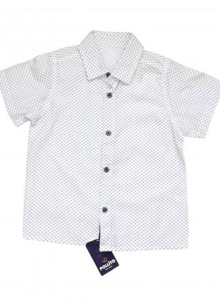 Рубашка белая с коротким рукавом для мальчика р98 турция 2565098