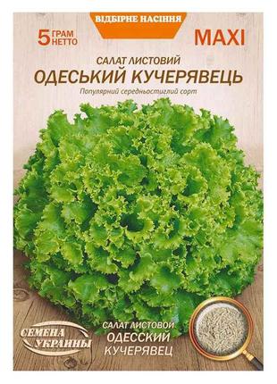 Максі Салат листовий ОДЕССКИЙ КУЧЕРЯВЕЦ 5г (10 пачок) (сс) ТМ ...