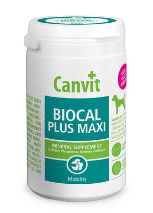 Canvit Biocal Plus maxi (Канвіт Біокаль Плюс максі) вітамінна ...
